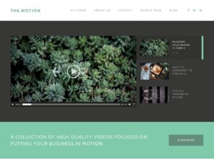 Themotion wordpress video theme