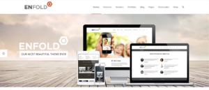 enfold wordpress theme