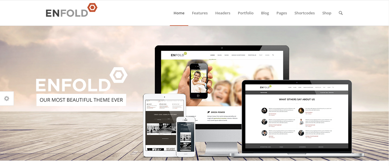 enfold wordpress theme